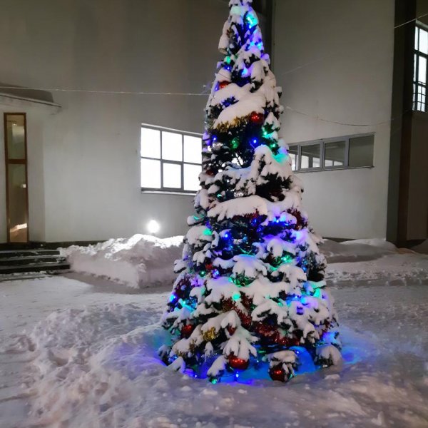 Зима в Эрмитаже